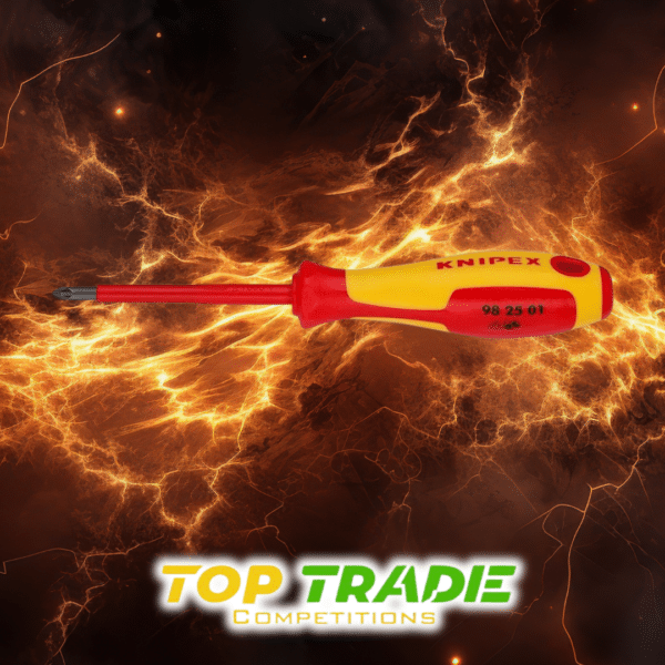 Knipex Crosshead Screwdriver 98 25 01