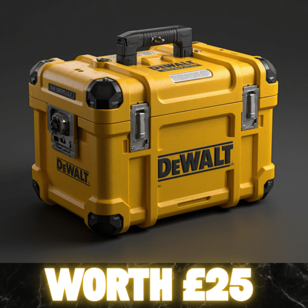 Dewalt Mystery Tool Box Or £25