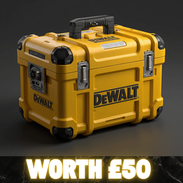 Dewalt Mystery Tool Box Or £50