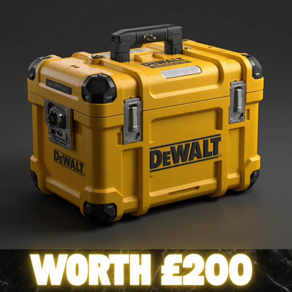Dewalt Mystery Tool Box Or £200