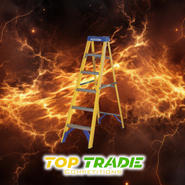 Werner Fibreglass 6-Tread Swingback Stepladder Or £80